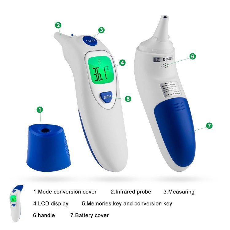 Forehead - ear thermometer